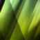 Image 05